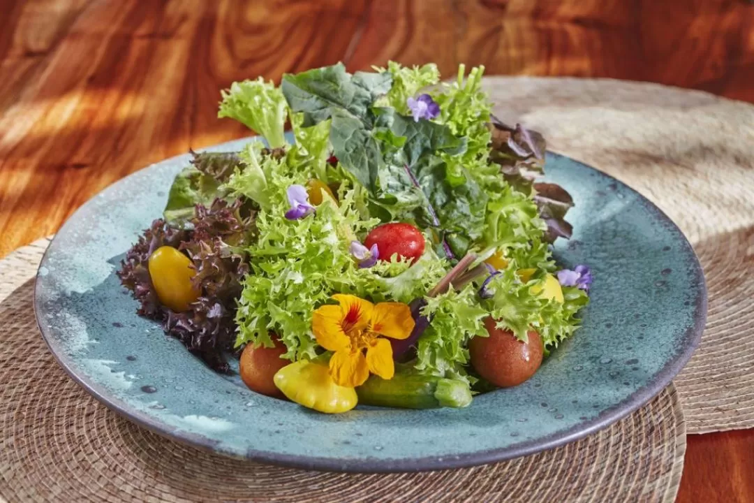 01_Gastronomia_010