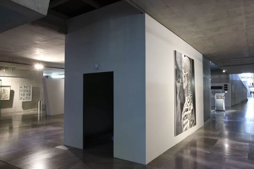 13_MUSEOGRAFIA_008